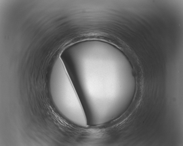 X0000086070825200703231011