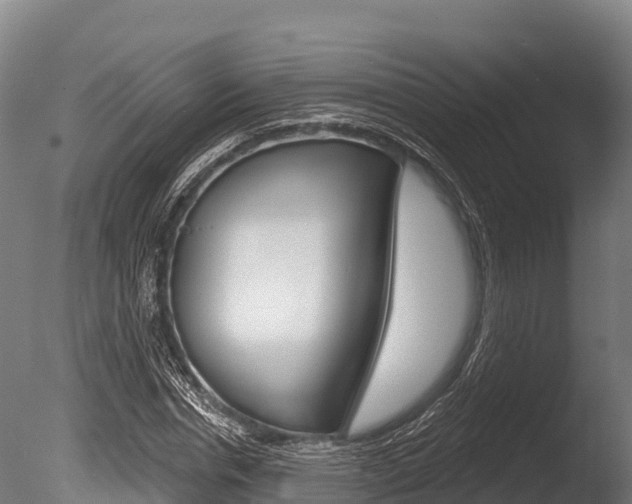 X0000086070826200703231011