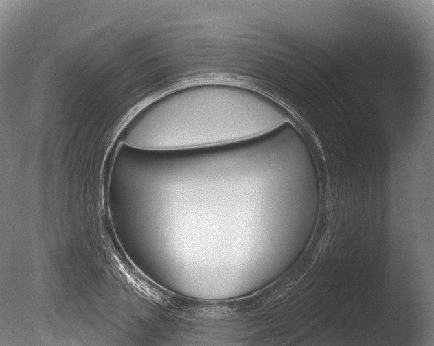 X0000086070837200703231011