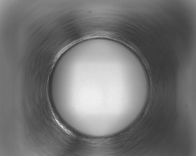 X0000086070842200703231011