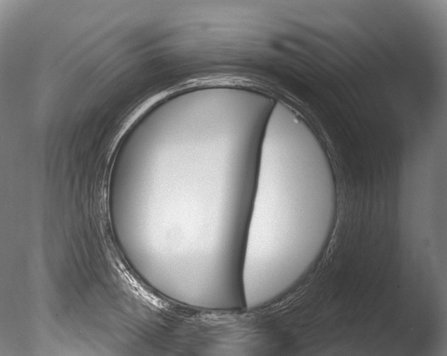 X0000086070852200703231011