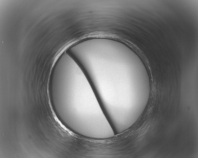 X0000086070855200703231012