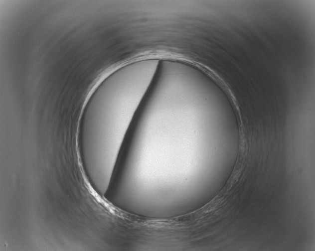 X0000086070863200703231012