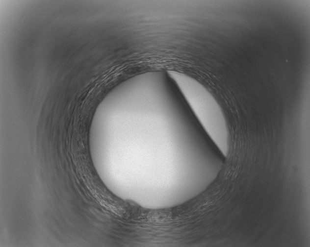 X0000086070865200703231011