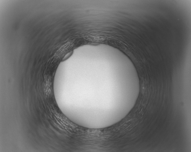 X0000086070866200703231011