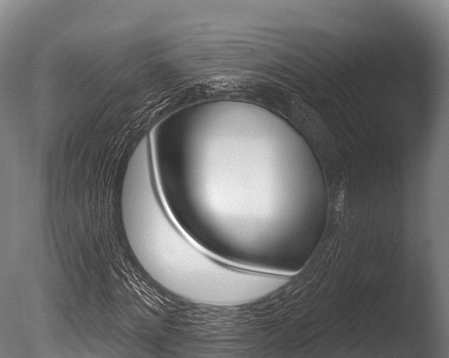 X0000086070868200703231011