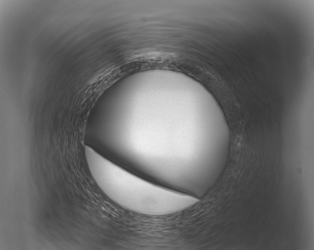 X0000086070869200703231011