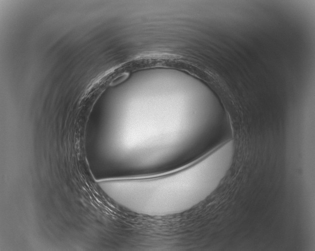X0000086070872200703231011