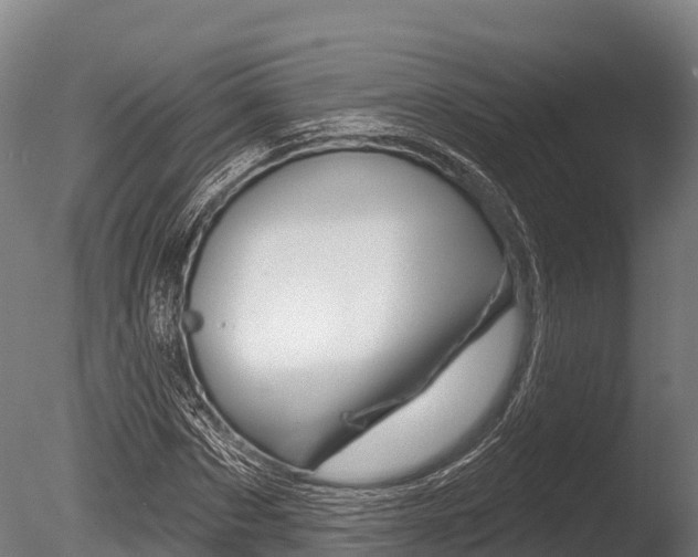 X0000086070873200703231011