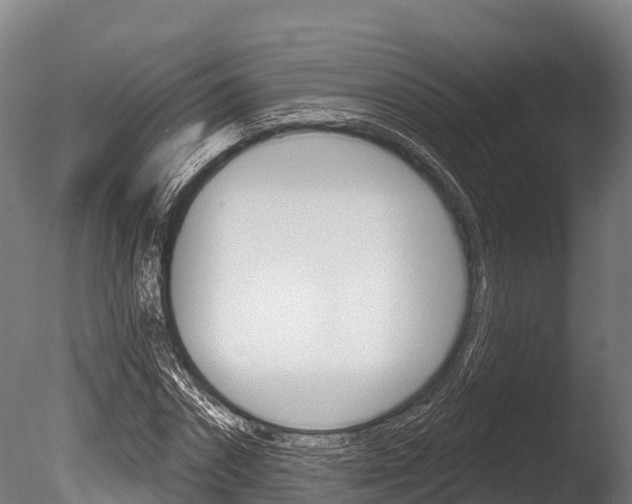 X0000086070874200703231011