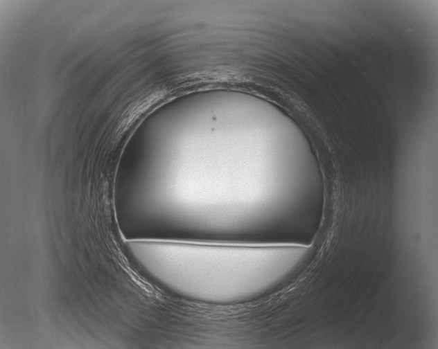 X0000086070881200703231011