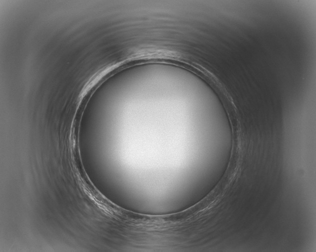 X0000086070885200703231010