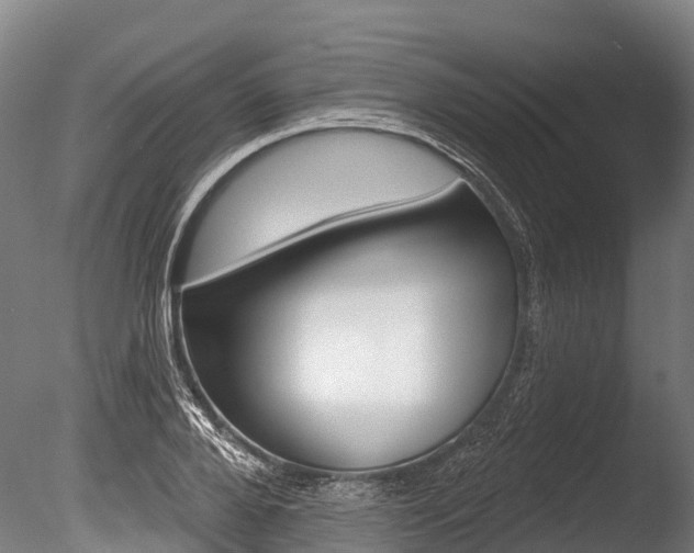 X0000086070888200703231010