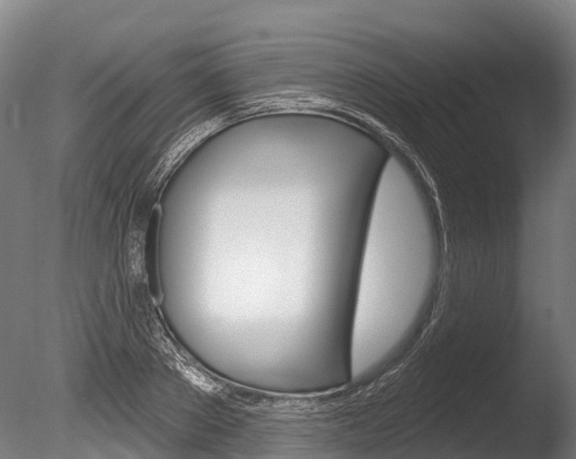 X0000086070889200703231010