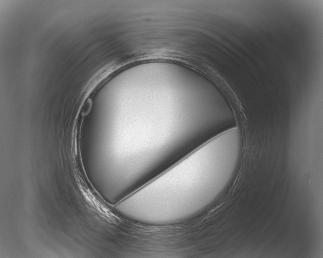 X0000086070892200703231010