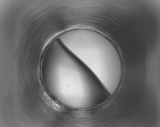 X0000086070896200703231010