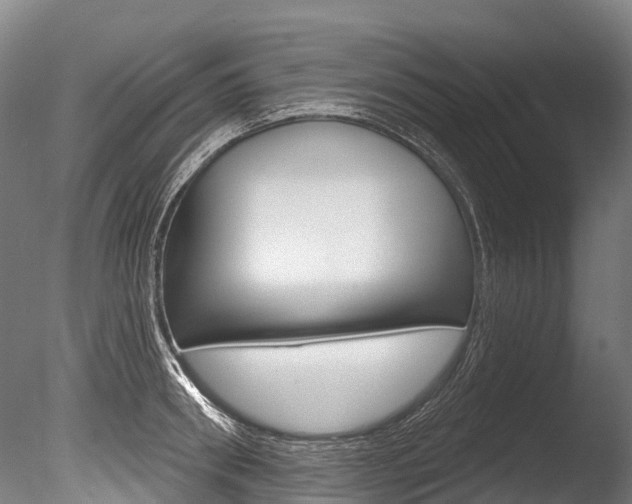 X0000086070898200703231010