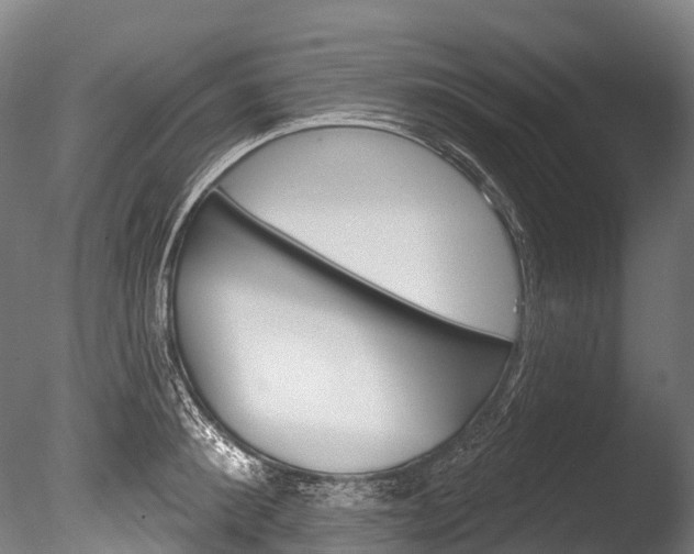 X0000086070900200703231010