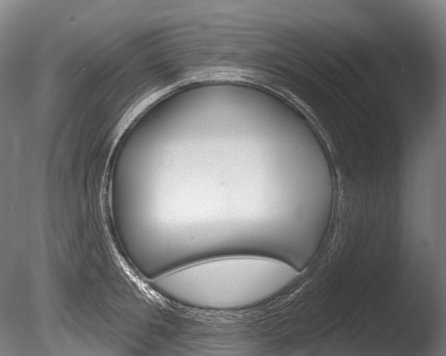 X0000086070901200703231010
