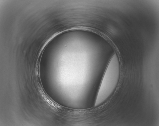 X0000086070908200703231010