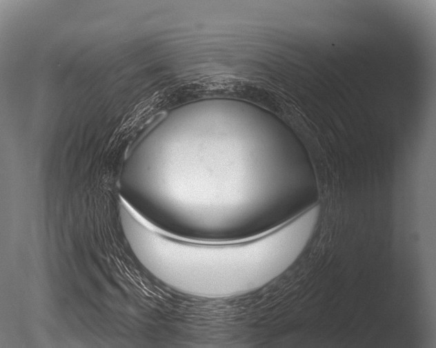 X0000086070916200703231009