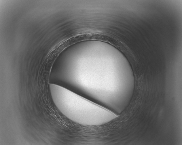 X0000086070919200703231009