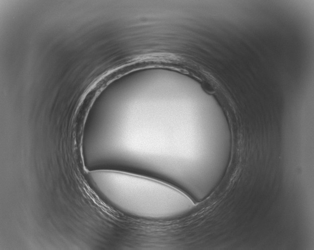 X0000086070923200703231009