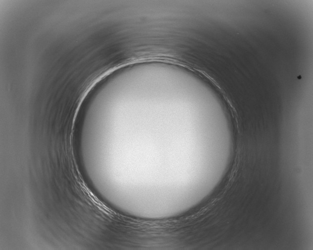 X0000086070924200703231009