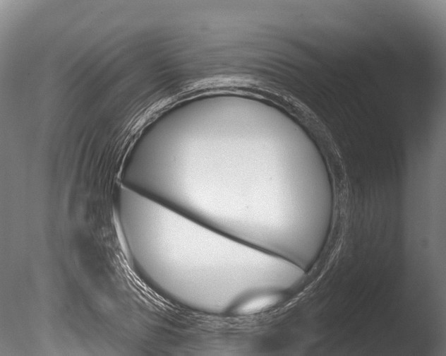 X0000086070929200703231009