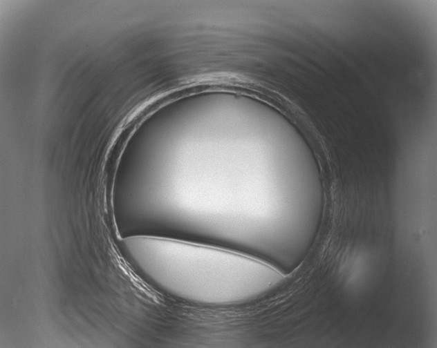 X0000086070931200703231010