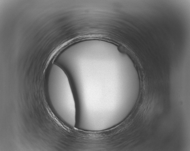 X0000086070933200703231010