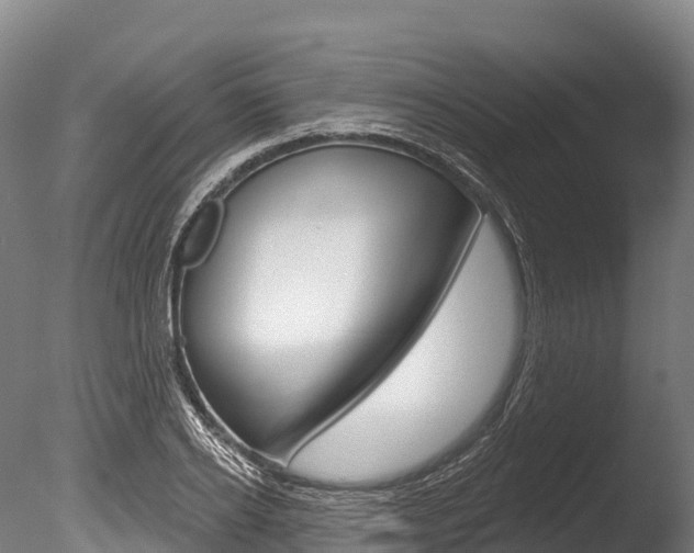X0000086070934200703231010