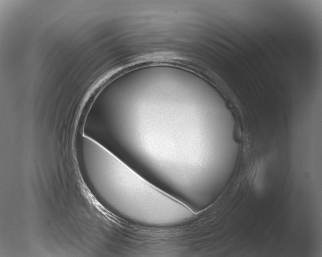 X0000086070939200703231010