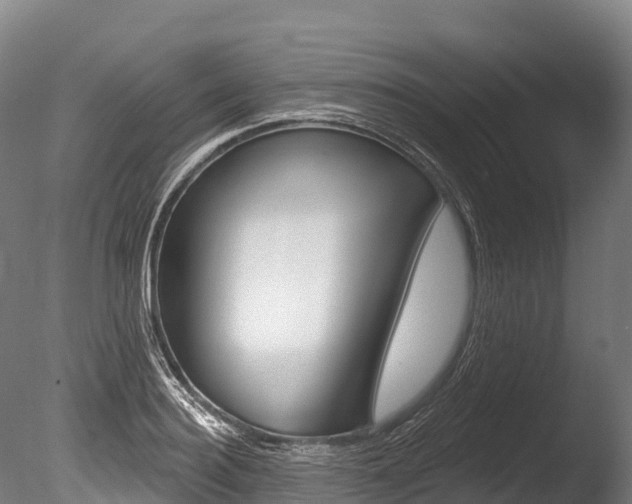 X0000086070940200703231010