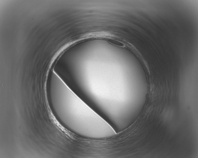 X0000086070947200703231010