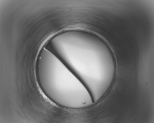 X0000086070949200703231010