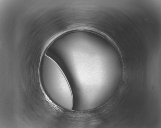 X0000086070951200703231010