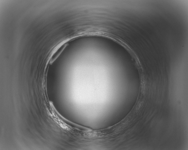 X0000086070956200703231010