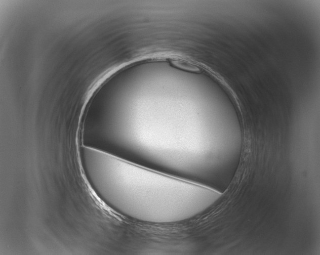 X0000086070959200703231010