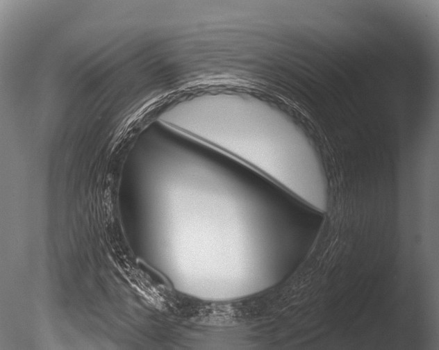 X0000086070968200703231009
