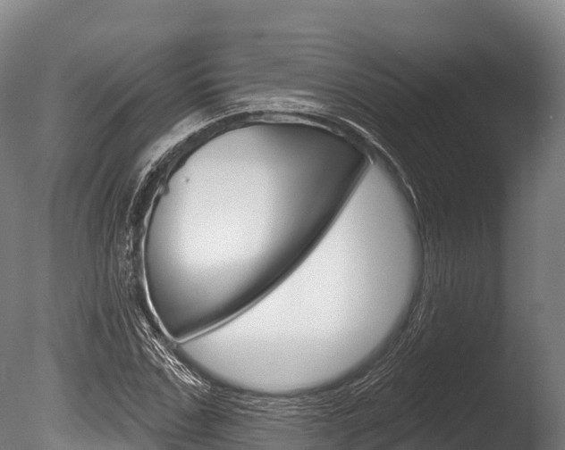X0000086070971200703231009
