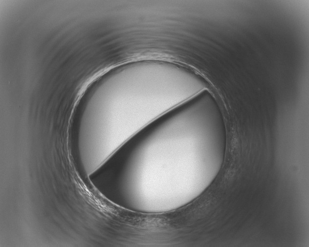 X0000086070979200703231009