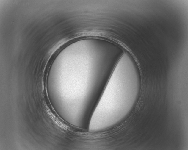 X0000086070980200703231009