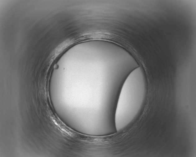 X0000086070986200703231009