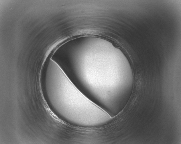 X0000086070987200703231009