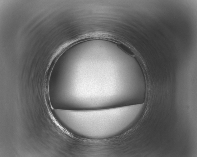 X0000086070989200703231009