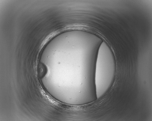 X0000086070994200703231009