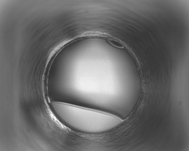 X0000086070995200703231009
