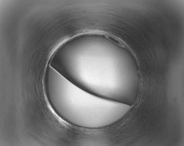 X0000086071007200703231008