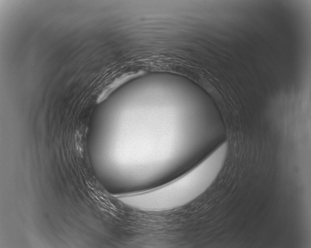 X0000086071010200703231008